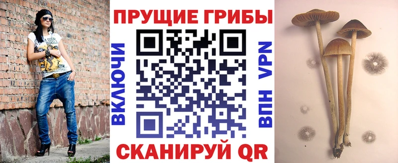 купить наркотик  Фокино  Псилоцибиновые грибы мухоморы 